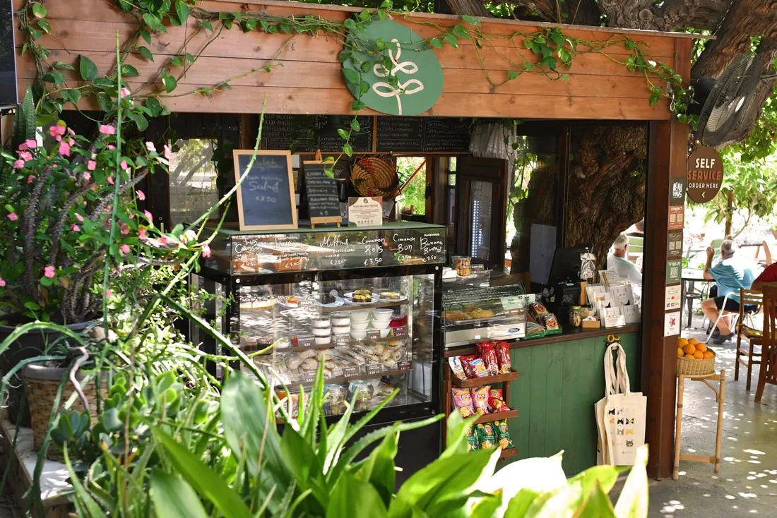 The kafenio counter under the old tree