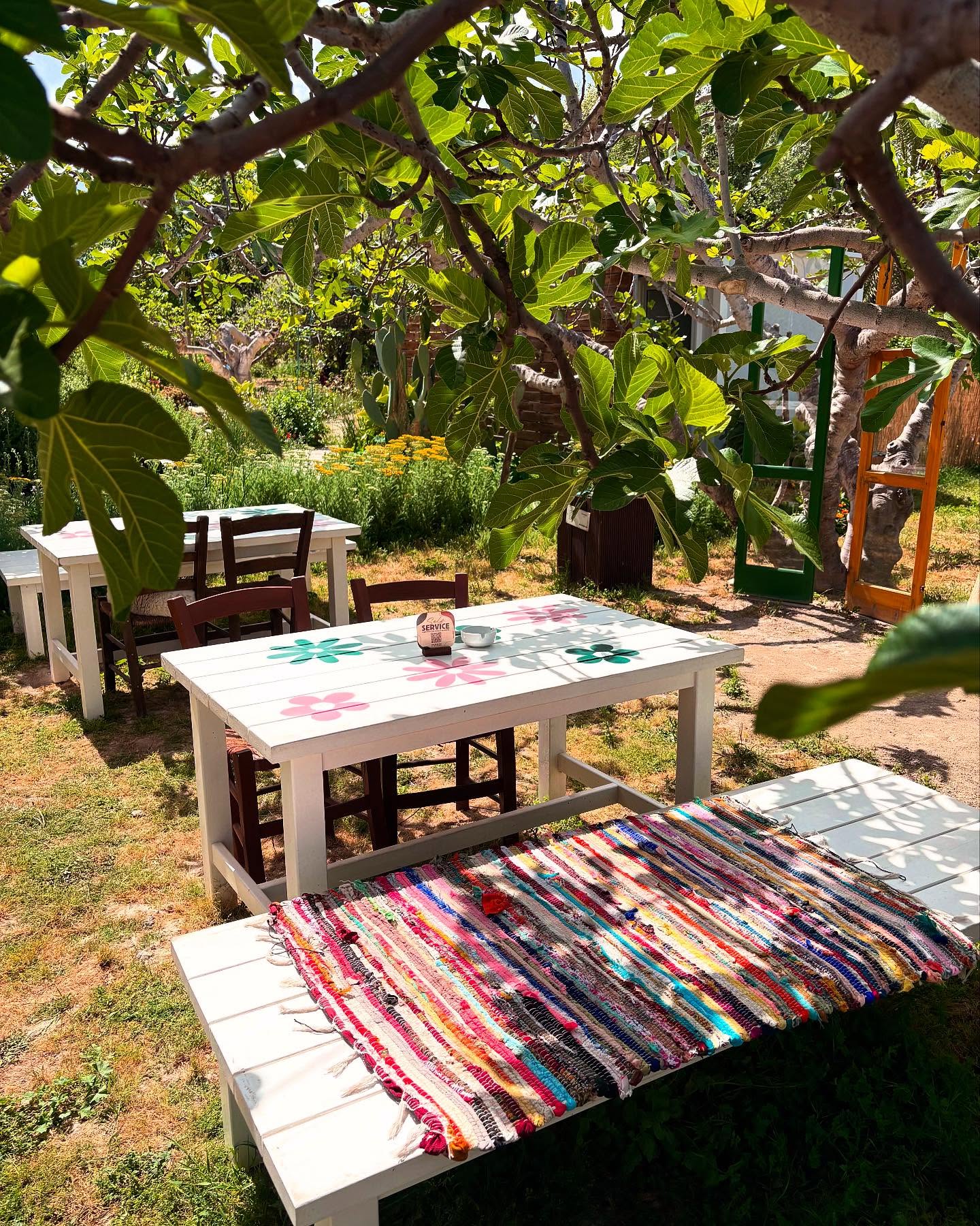 Plants and garden atmosphere